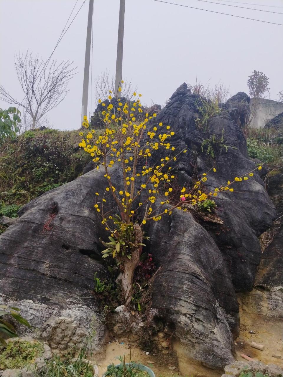 Ta Van Chu Homestay Bac Ha  Buitenkant foto